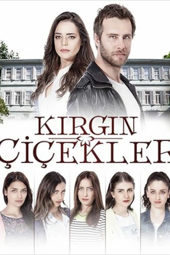 Обиженные цветы турецкий сериал